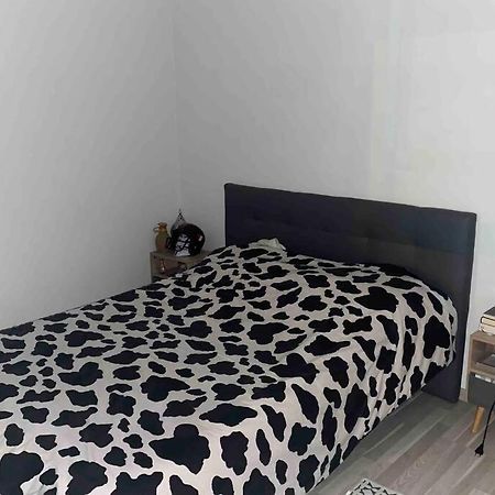 Meyzieu : Superbe Appartement Tres Cosy. 梅济约 外观 照片